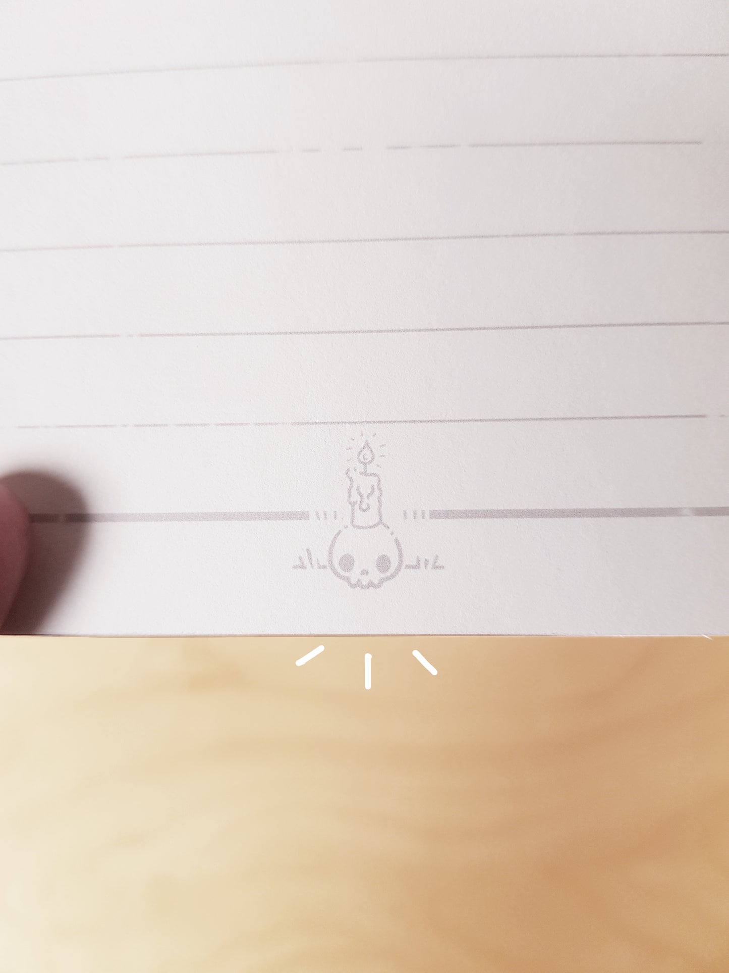 Ensemble 2 Carnet sorciers + Crayon baguette