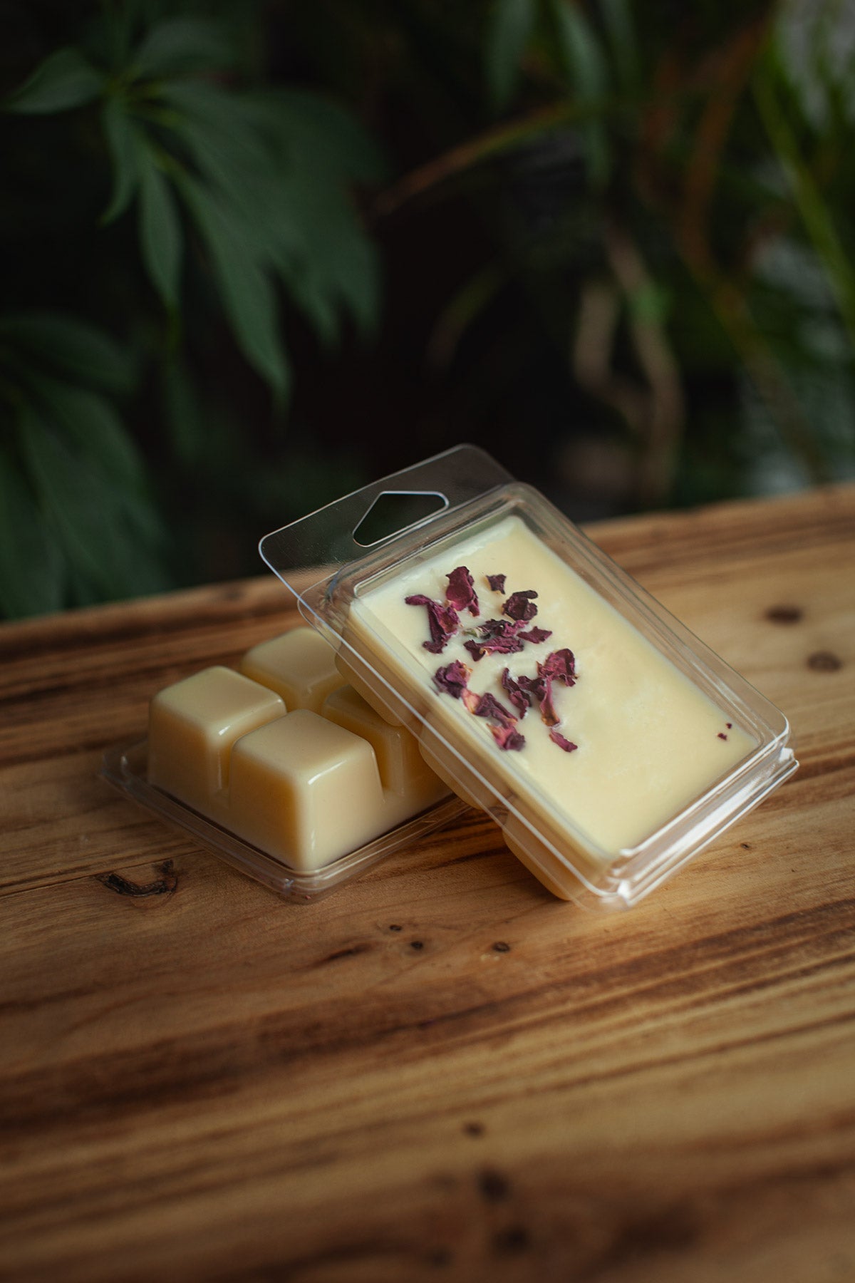 Cire_Parfum_e_-_Equinoxe_du_Printemps-Spring