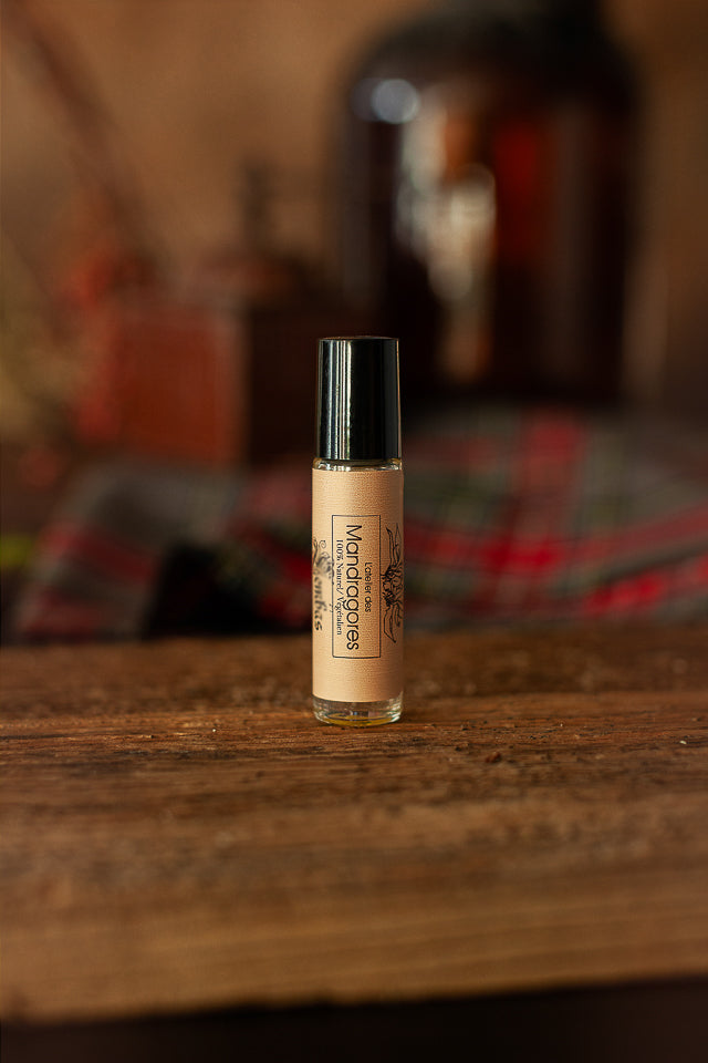 Roll on: Autumn Equinox - Anchoring