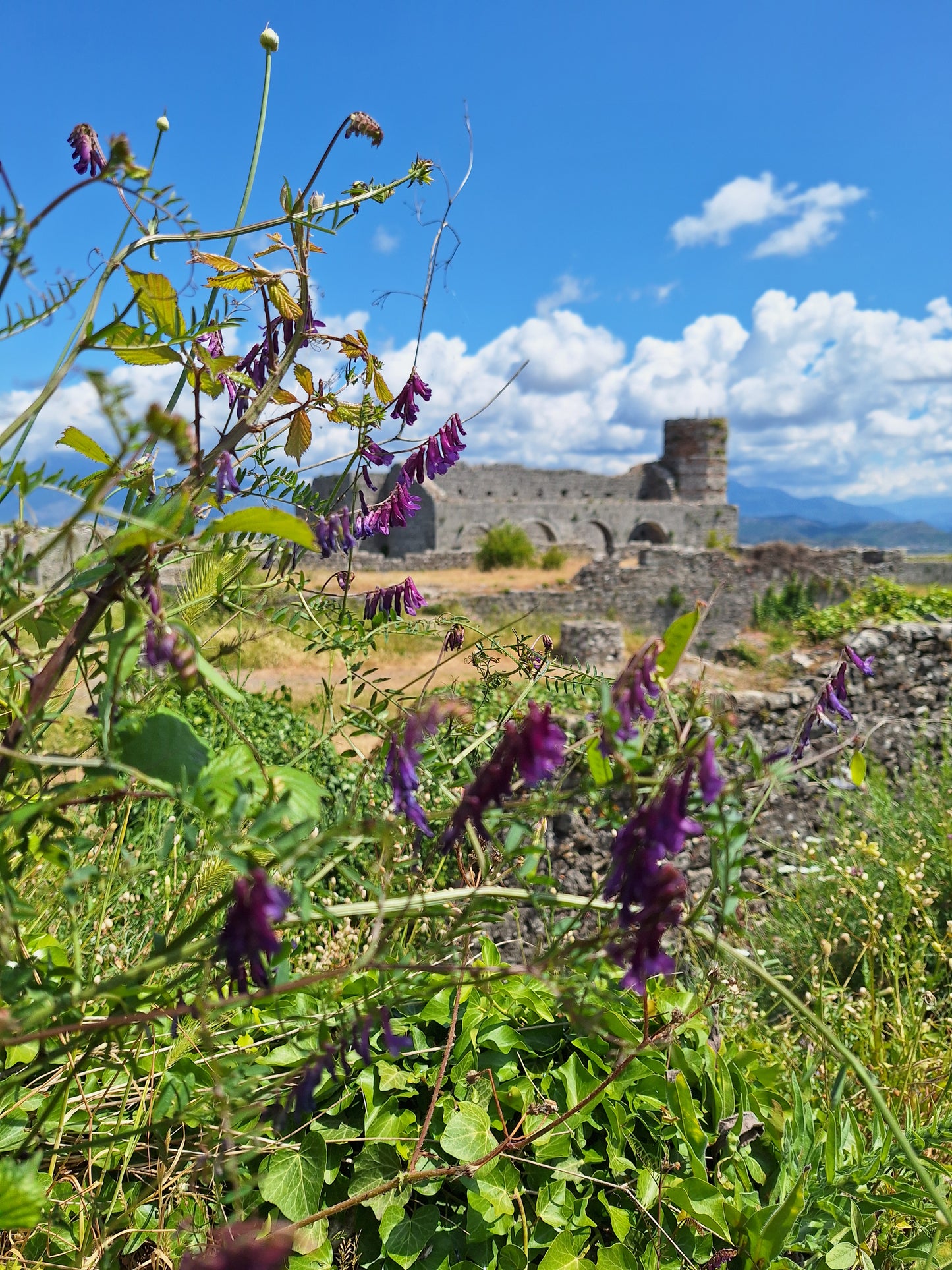 Roll on: Spring Equinox - Renewal