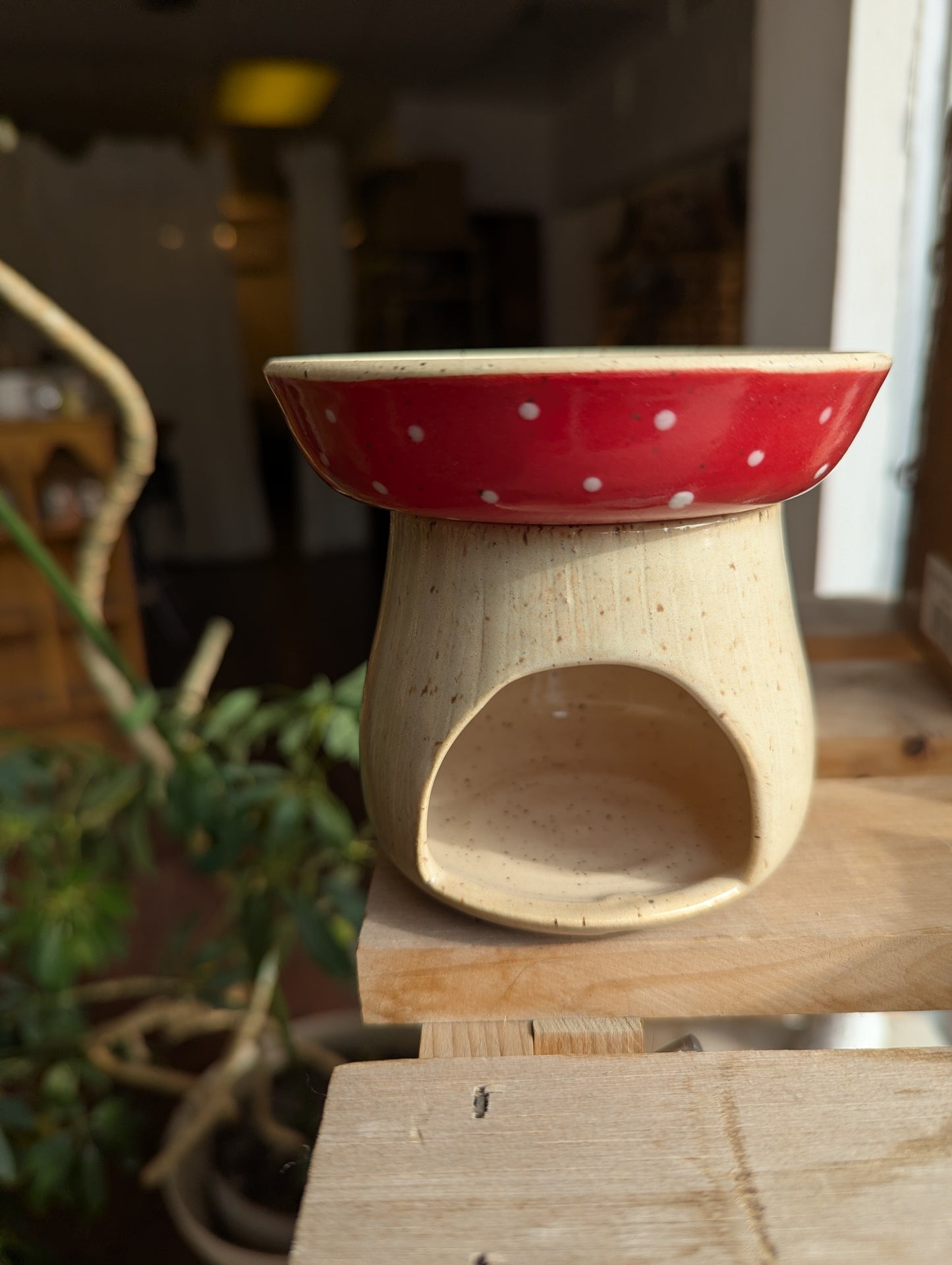 Diffuseur pour cire, huiles essentielles, herbes 🍄