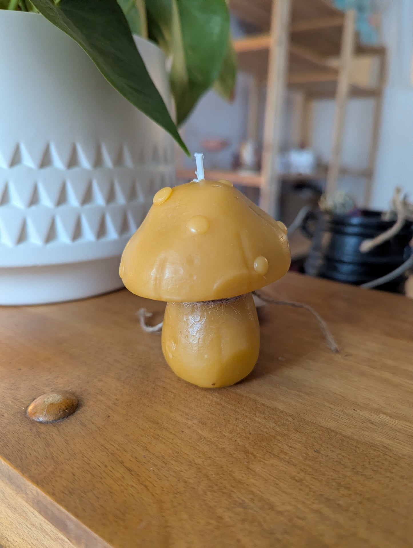 Bougie de cire d'abeilles: Champignon