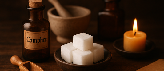 🌿 Le souffle du camphre — Purifier l’air et l’esprit pour l'automne