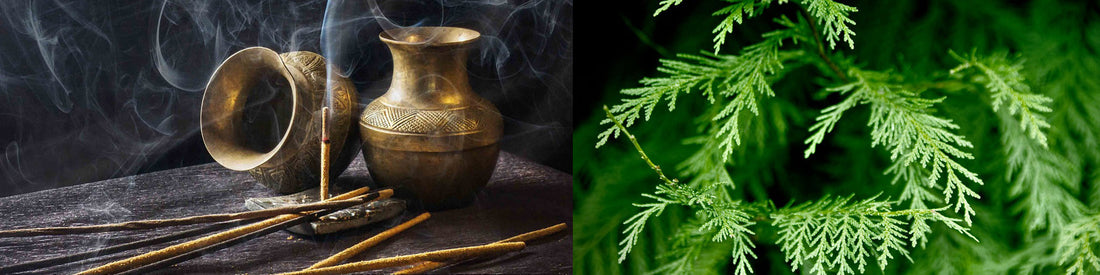 Qu'est-ce que l'encens naturel, et pourquoi il se comporte autrement