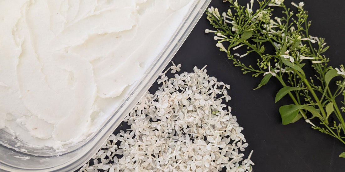 Transformer ton enfleurage en absolue : l’art d’extraire le parfum vivant