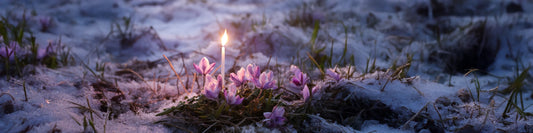 Imbolc : origines, traditions et symbolique de la fête païenne de la lumière -1er février