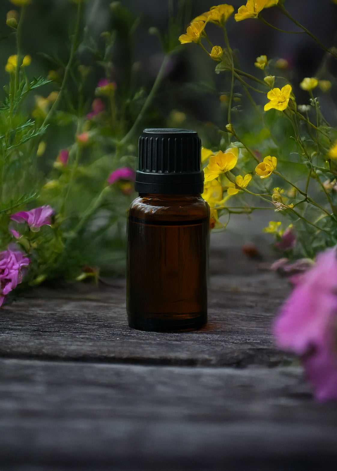 Essential Oil Blend: Forest