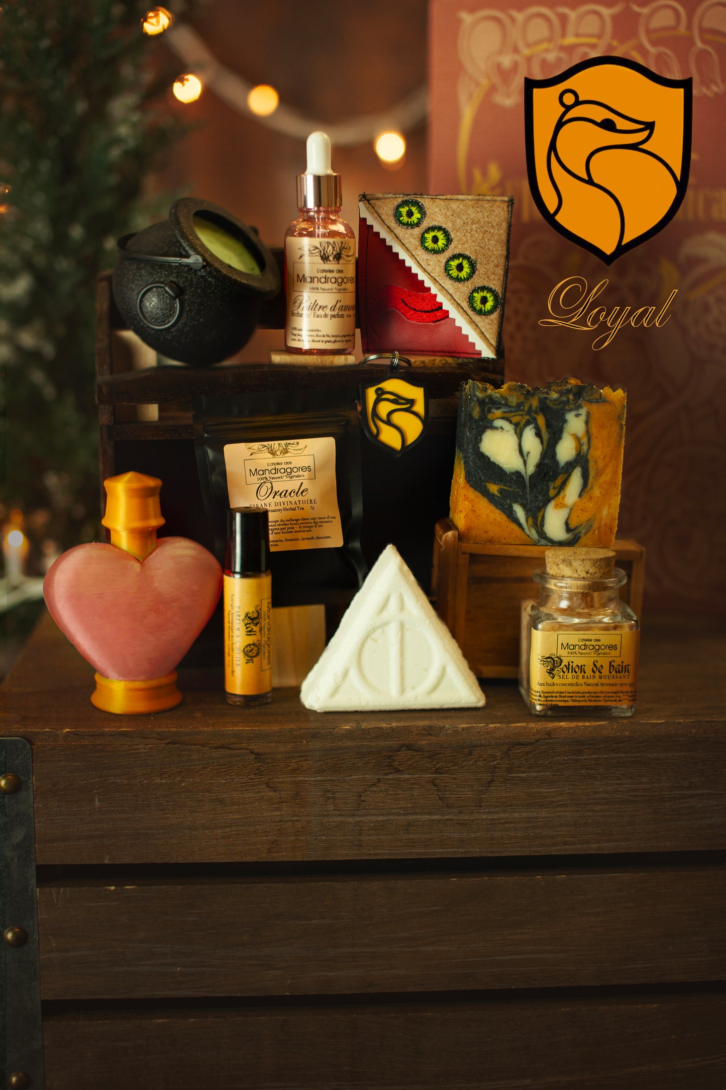 Magic and Spells Box Set