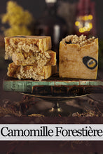 Load image into Gallery viewer, The Guides: Rustic Handmade Soap
