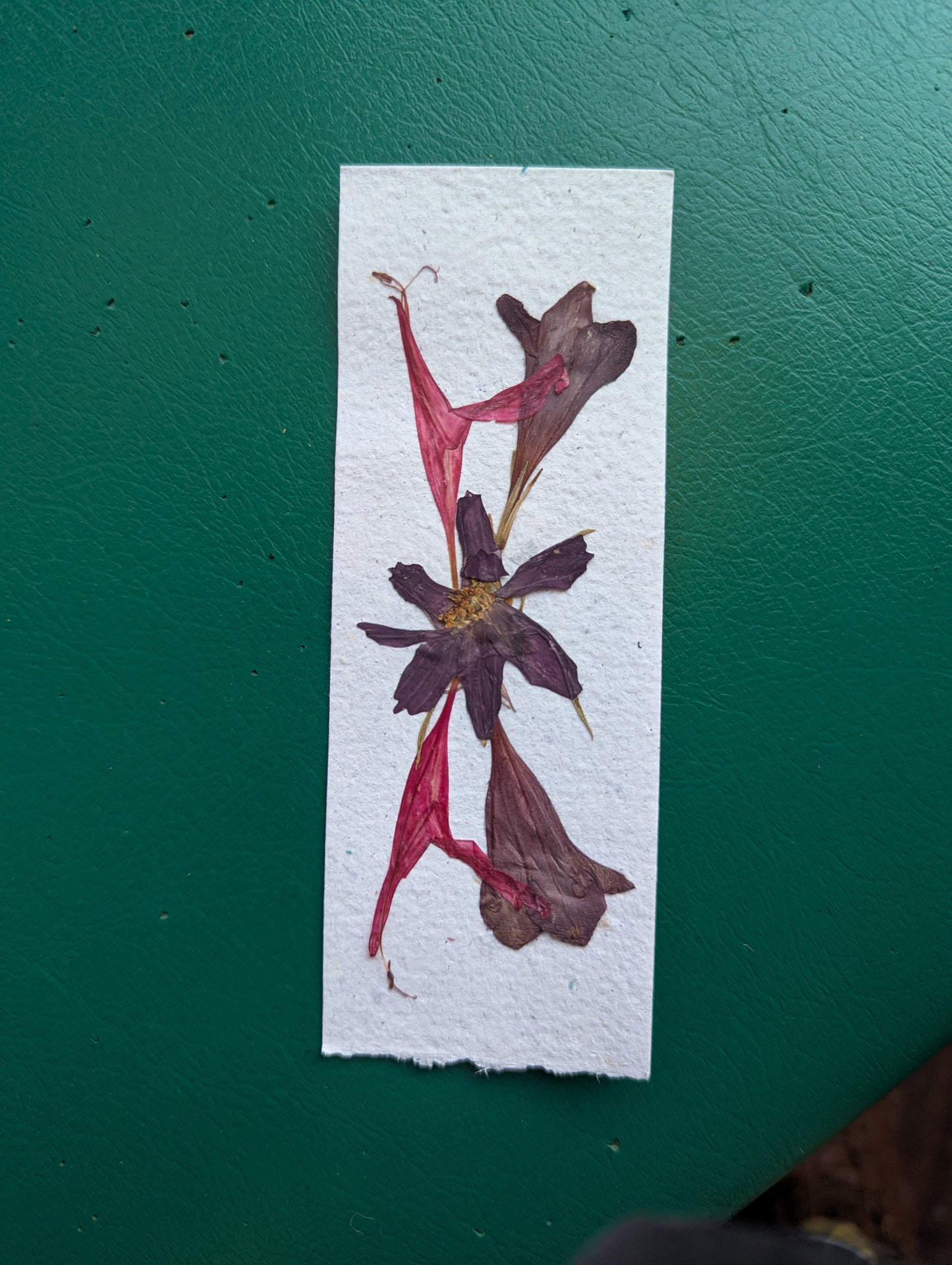 Botanical bookmarks (plantable)