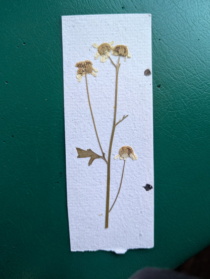 Botanical bookmarks (plantable)