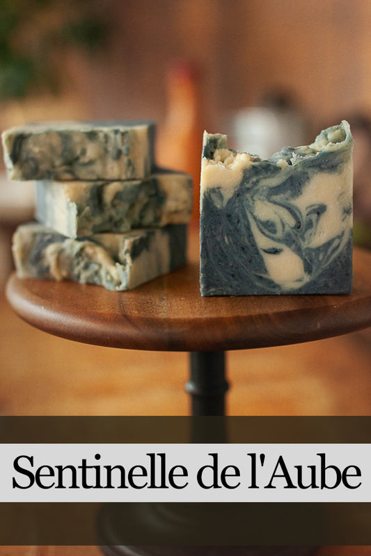 Paladin: Handmade Soap