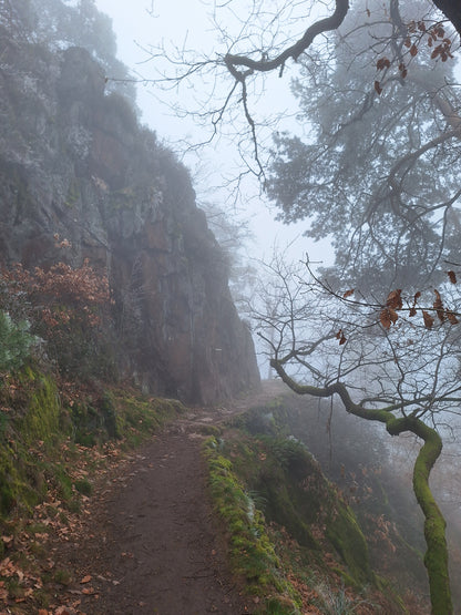 Roll on: Autumn Equinox - Anchoring