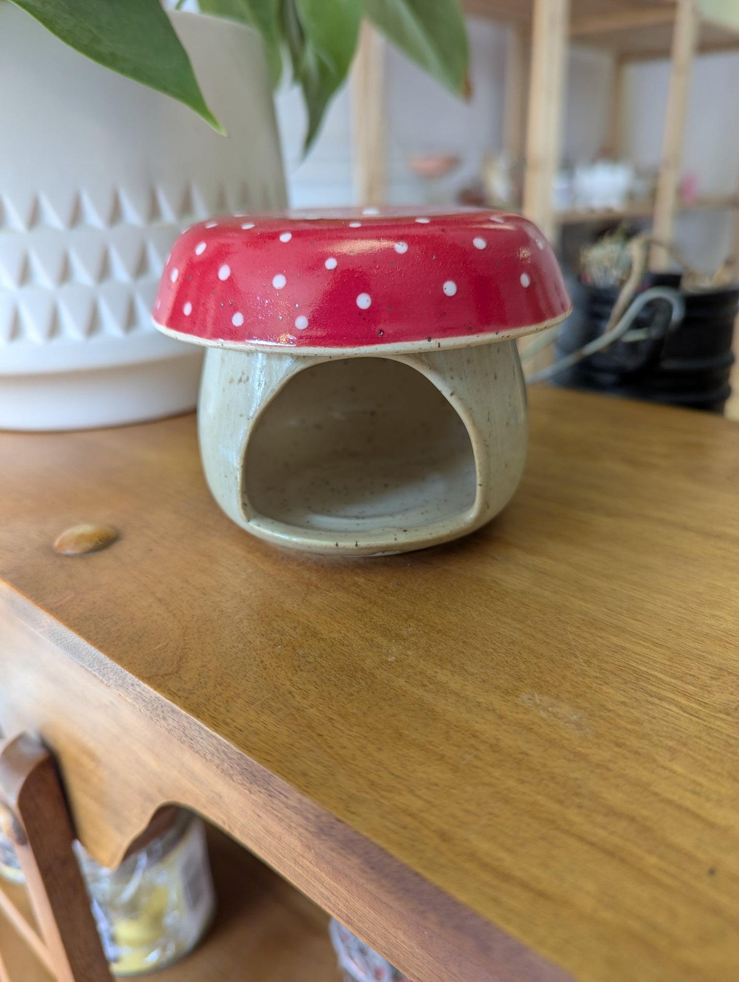 Diffuseur pour cire, huiles essentielles, herbes 🍄