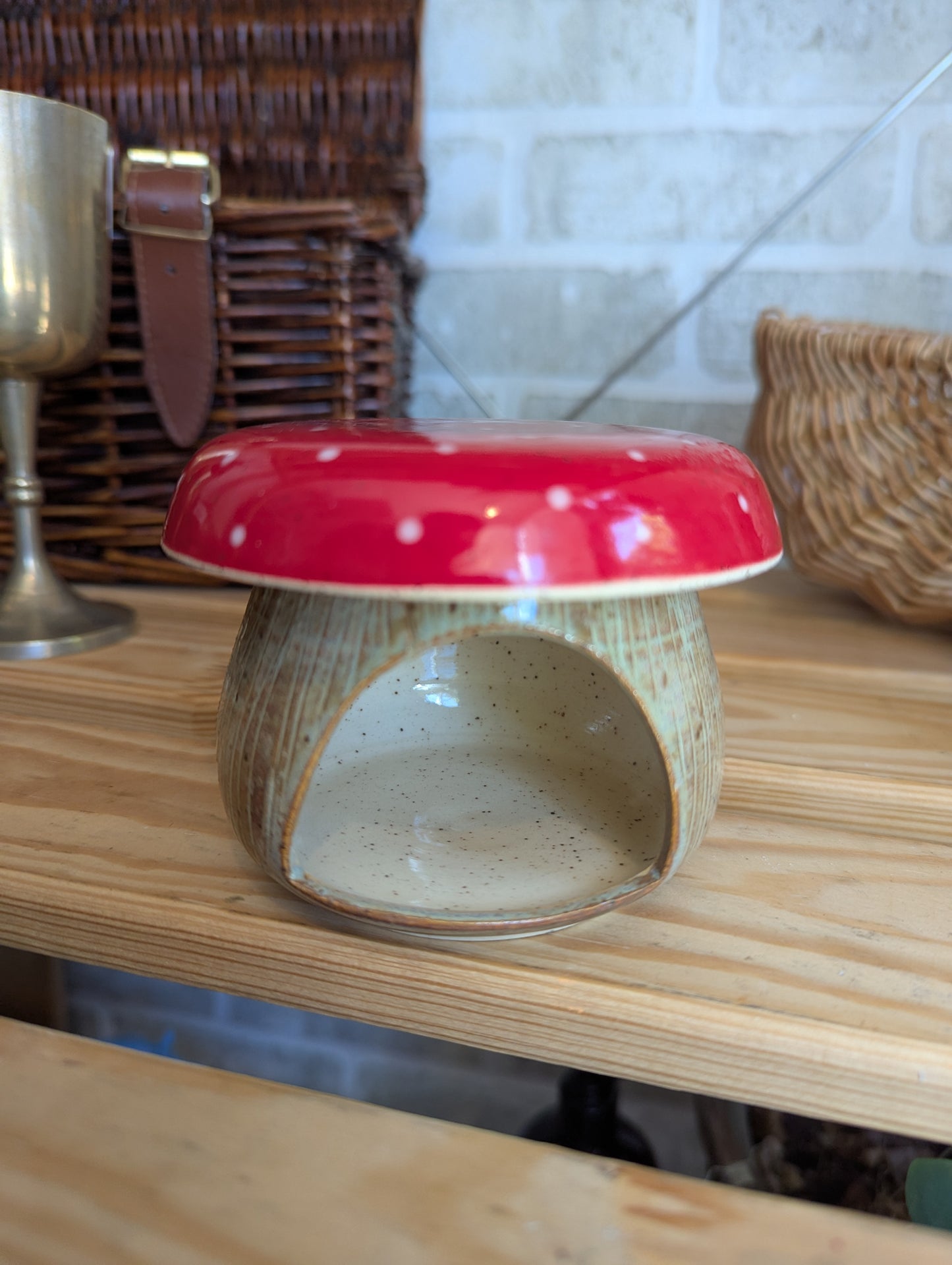 Diffuseur pour cire, huiles essentielles, herbes 🍄