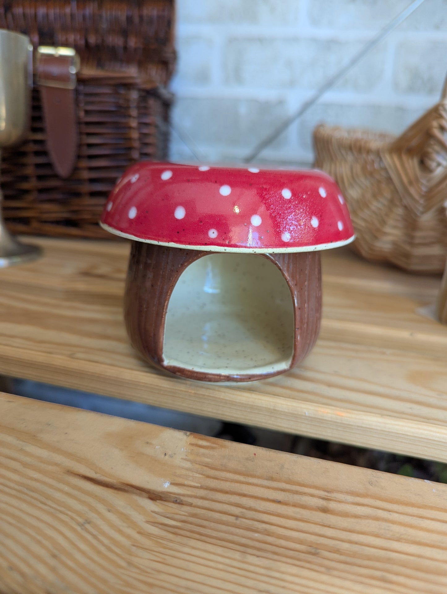 Diffuseur 🍄 pour cire, huiles essentielles, herbes