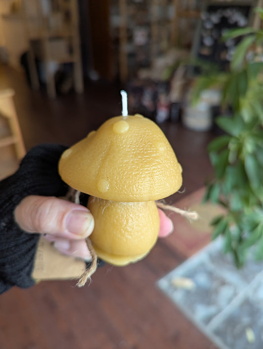 Bougie de cire d'abeilles: Champignon