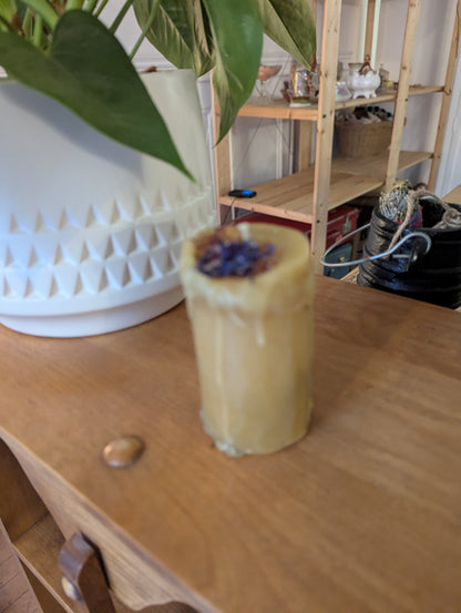 Bougie de cire d'abeilles: pillier