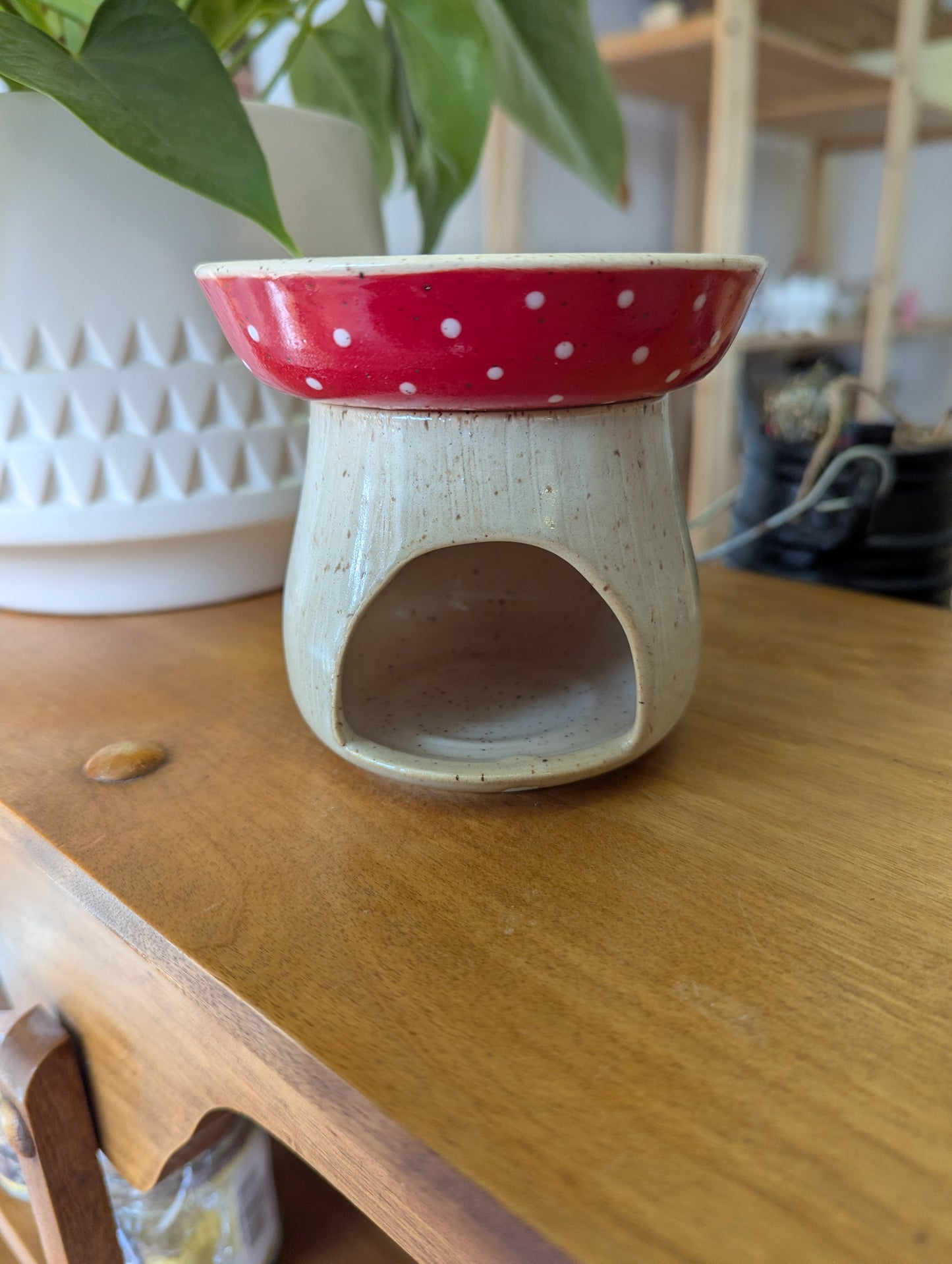 Diffuseur pour cire, huiles essentielles, herbes 🍄